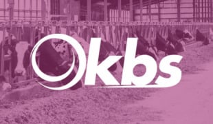 KBS Logo