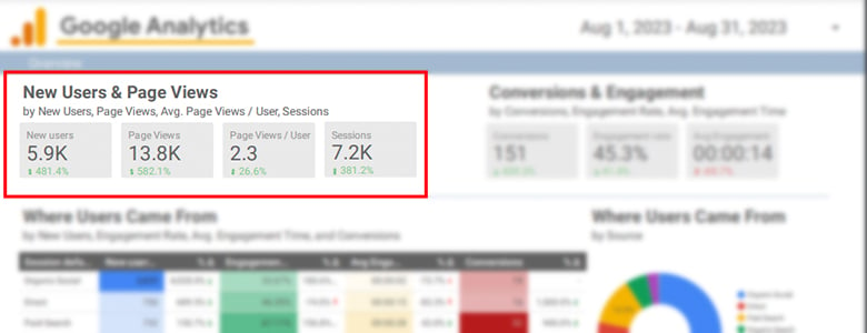 Google Analytics Screen Shot